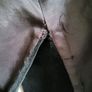 Vintage Black Velvet Jacket UK8 Image 7