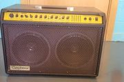 Tanglewood acoustic guitar amplifier