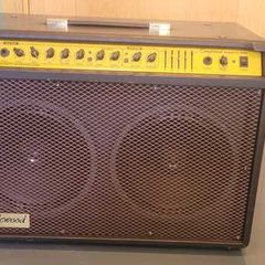 Tanglewood acoustic guitar amplifier