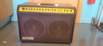 Tanglewood acoustic guitar amplifier