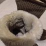 Clarks Kids Brown Suede lined Boots Image 10
