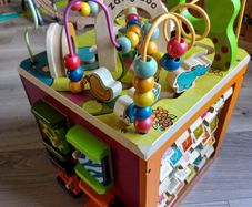 Zany Zoo Activity Cube