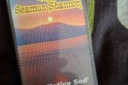 PJ Murrihy &amp; Seamus Shannon - My Native Sod