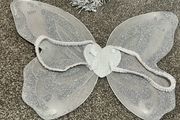 fairy wings