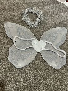 fairy wings