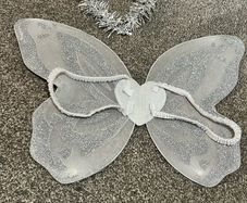 fairy wings