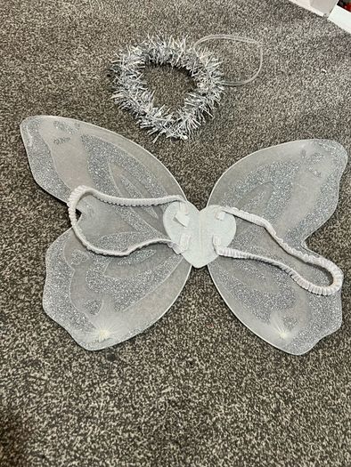 fairy wings