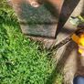 Briquette/ logs holder Image 4