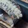 1 Full Set of Resin Teeth Soldered Oddity Curiosity Bangle Image 3