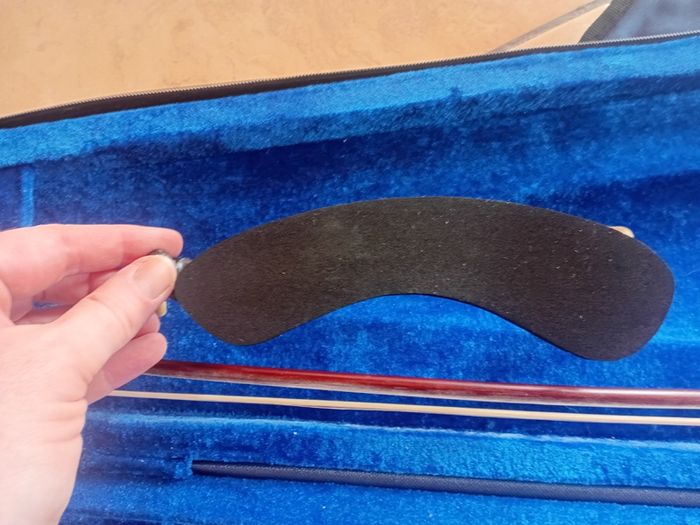 Stentor Violin