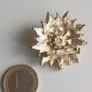 Vintage gold tone flower faux pearl brooch 16.7g Image 2
