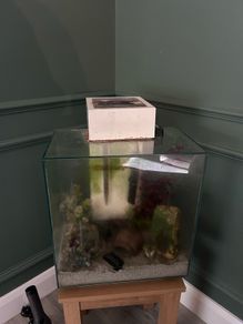 fluval edge