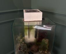 fluval edge