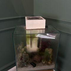 fluval edge