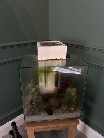 fluval edge