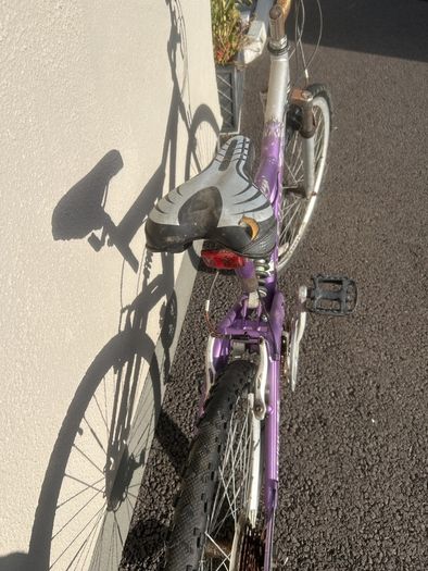 Raleigh Drift Bike
