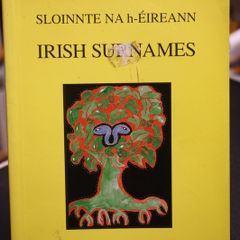 Irish Surnames