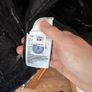 canada goose Image 3