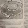 Wicklow Archaeology And History Volume 1 Edited By Christian Corlette & Aidan O O'sullivan  Paperback In Good Condition. Image 7