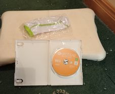 Wii board