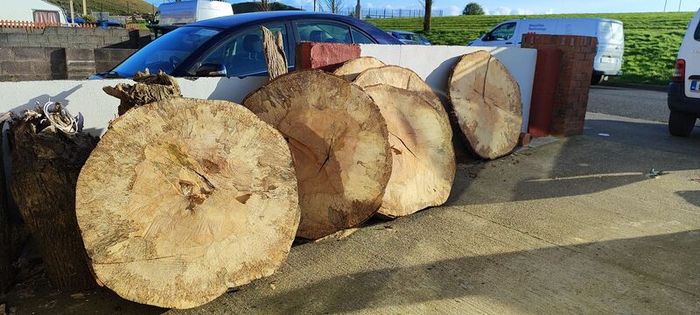 Premium Spalted Beech Wood Slabs 5 Years Air Dried