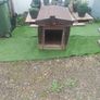 Dog House Image 3