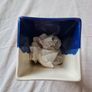 avoca blue large 30cm square vase Stratford blue brand new Image 6