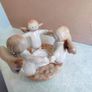 Little angels candle holder. Image 6