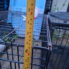 dog crate