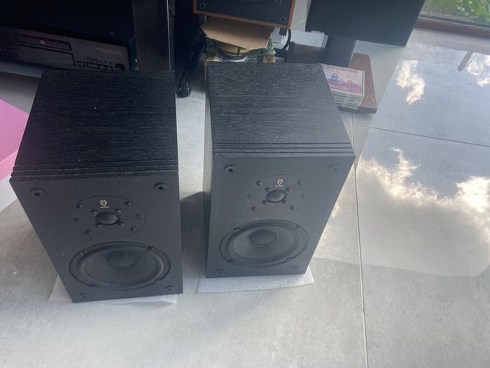 Diesis Audio Solitaire MK2  Speakers