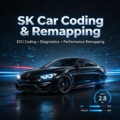 SK coding & remapping Ecu work
