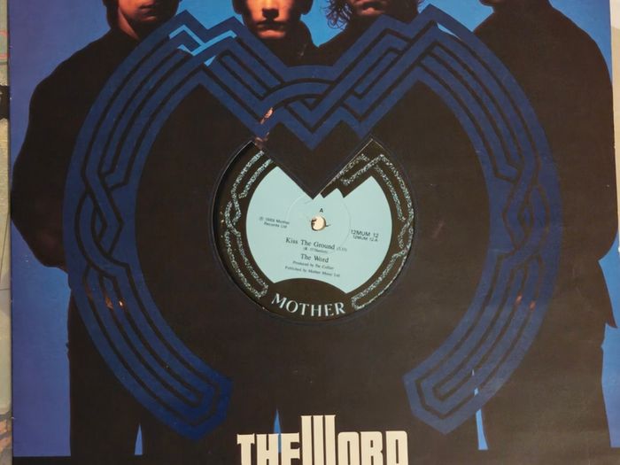 Tuesday Blue Hothouse Flowers Mother Records 12" singles