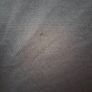 Boys North Face XL tshirt Image 6