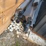 Free Pergola poles Image 4