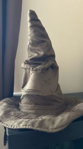 Harry Potter Costume and accessories