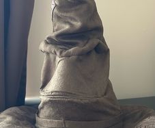 Harry Potter Costume and accessories
