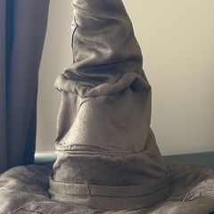 Harry Potter Costume and accessories