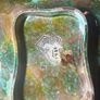 Rare 1869 Victorian Majolica Strawberry Plates x 3 Image 3