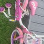 Bike Image 2