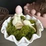 New Bunny in vase with moss Image 3