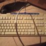 Vintage Dell 15" CRT Monitor (1995)  Model D1526TX-HS Retro Gaming Image 3