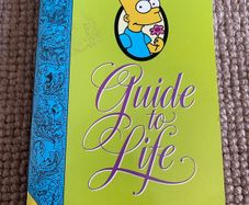 Bart Simpson's Guide to Life