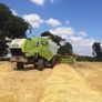 Claas Tucanno440 Image 8