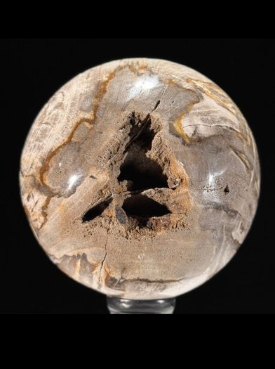 Polished Petrified Wood Geode Sphere (Diameter 10.2cm) - Wood, Woden Stand