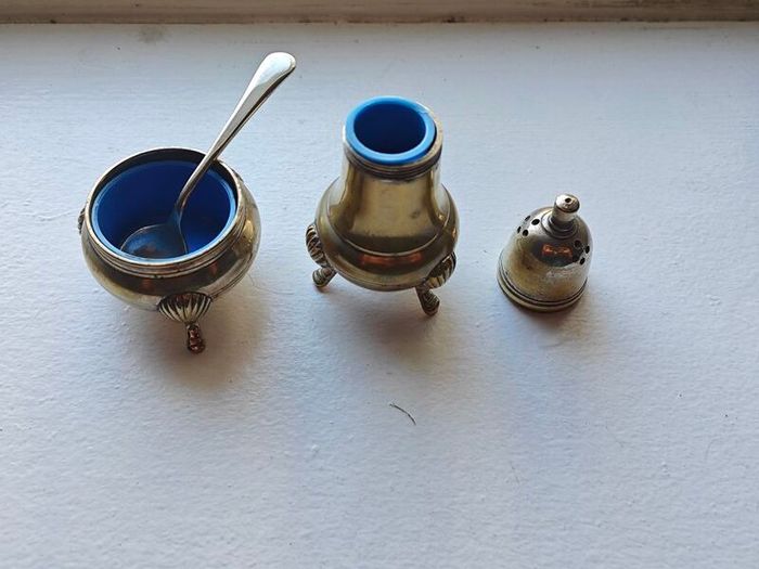 Vintage newbridge silver plate salt & pepper set (epns) with spoon