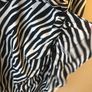 Shein dress (large) Image 5