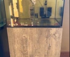 Fish Tank