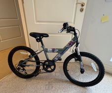 Kids Mountain Bike