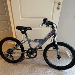 Kids Mountain Bike