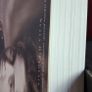 Under the Rose a confession / Flavia Alaya / 2003 Image 3